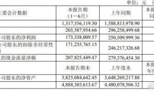 千禾味业上半年净利润降超三成，“受负面舆情影响”
