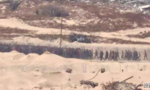 美国雇佣军突然开枪，加沙难民集体冲破围栏：以军警戒线全被冲垮