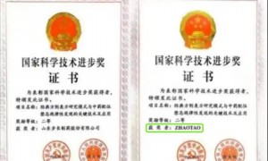 董明珠获“国家科技进步奖”提名，引发争议