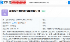 李湘王岳伦合资成立新公司 注册资本300万元