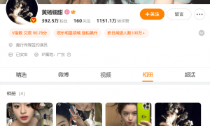 黄杨钿甜删除百万耳环照，其父已被立案调查，媒体：父亲入职离职动机可疑