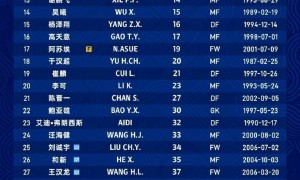 上海申花更新一线队大名单：戴伟浚回归，新外援阿苏埃在列