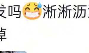 “都说了北京有海吧！”颐和园昆明湖水面被大风吹出“海浪”，网友：豆汁开锅了吗？