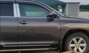 官方通报“暴雨涨水有车辆被困‘孤岛’”：车主系露营基地负责人，了解水情未报警，车辆已安全转移